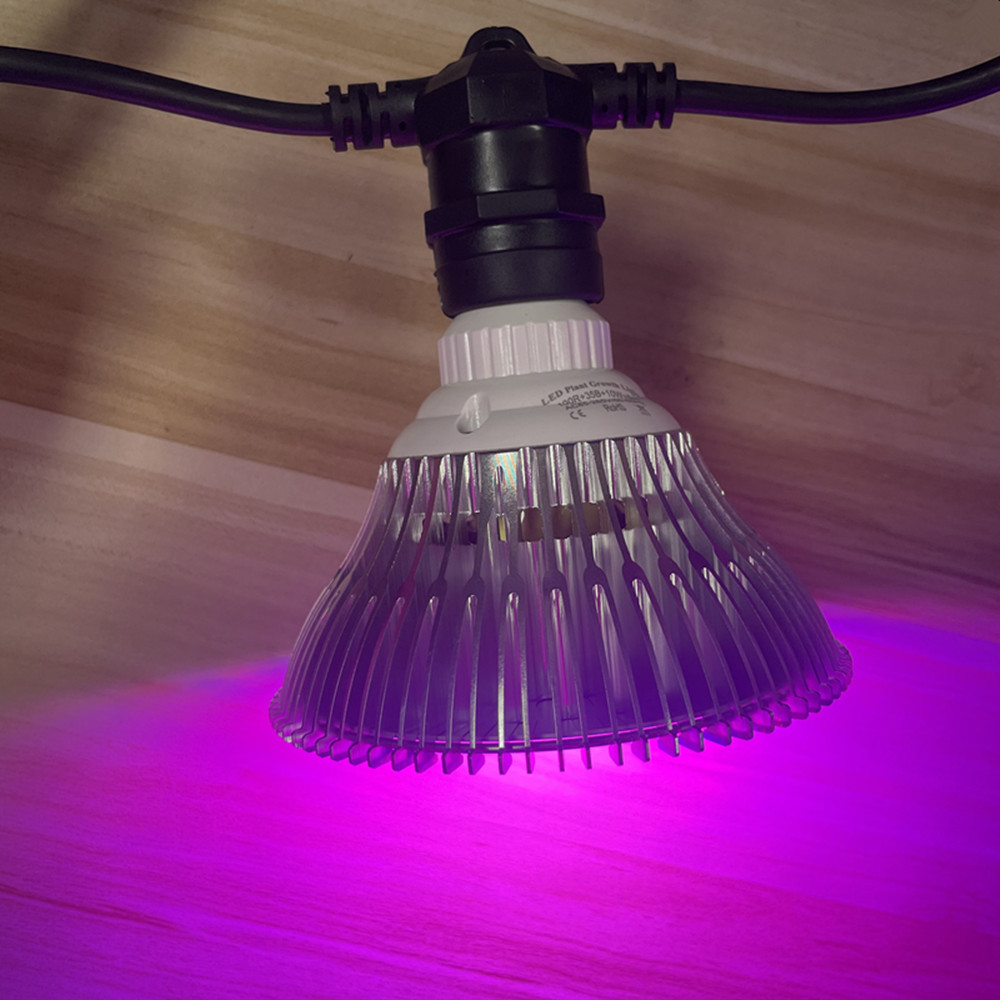 Cadena de luces LED de 10M, re - Outdoor Lighting For Backyard reseña y precio